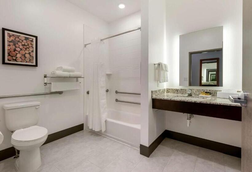 Номер Стандарт Кровать Кинг Адаптированный для Инвалидов, Best Western Plus Isanti