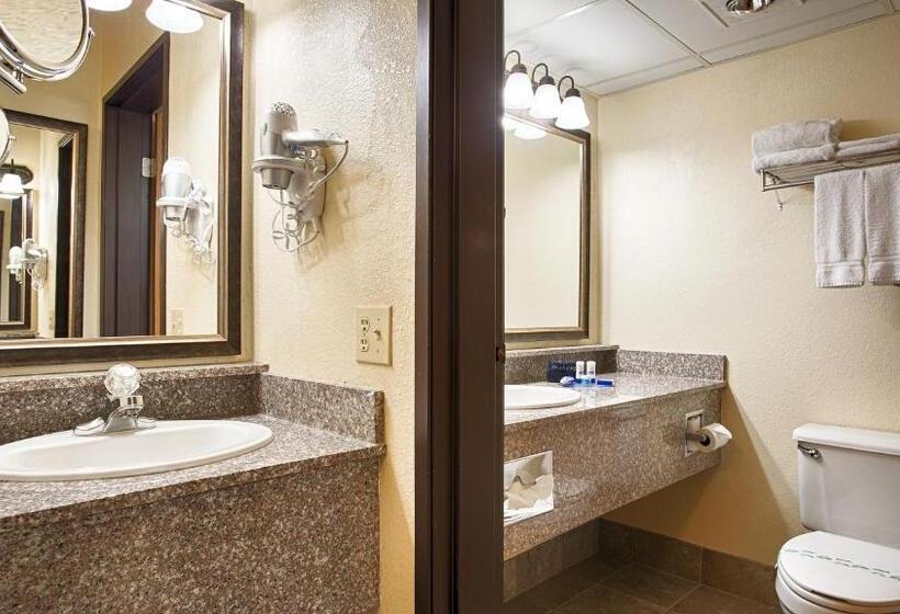 חדר סטנדרט עם מיטת קינג, Best Western Music Capital Inn