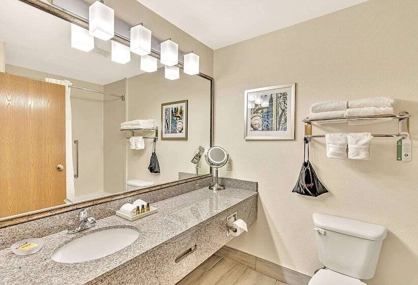 Люкс, Best Western Plus Lewisville Flower Mound