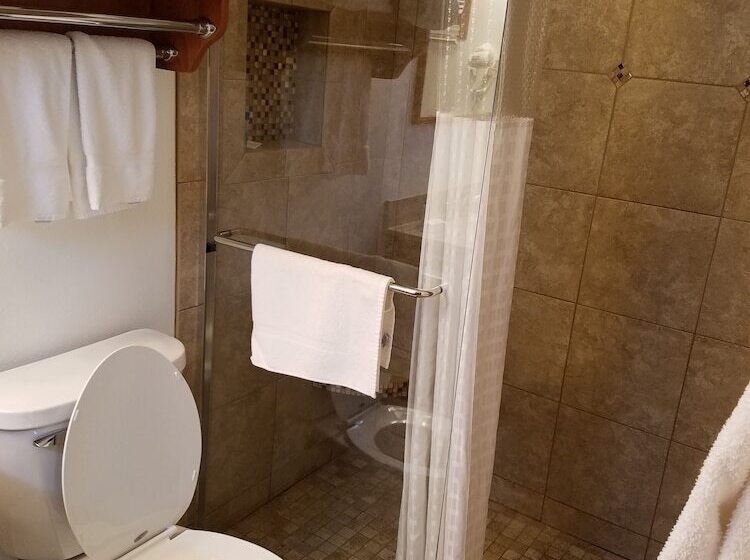 חדר סטנדרט עם מיטת קינג, Black Hawk Motel & Suites