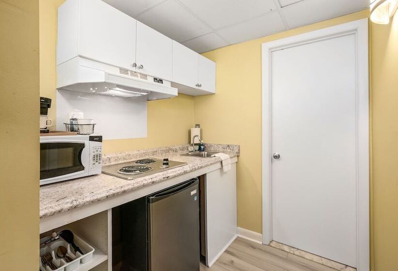 سوئیت با تخت بزرگ, Cayman Suites