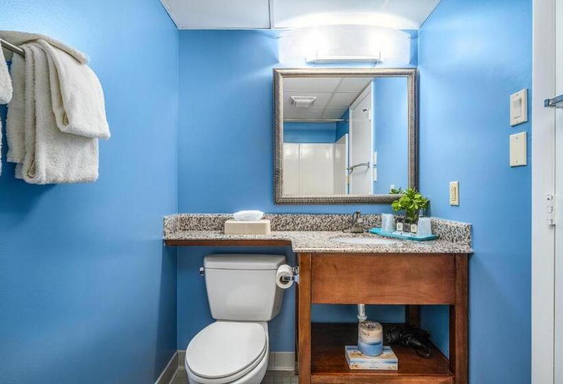سوئیت با تخت بزرگ, Cayman Suites