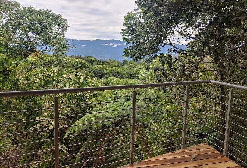 스위트, Cielo Lodge