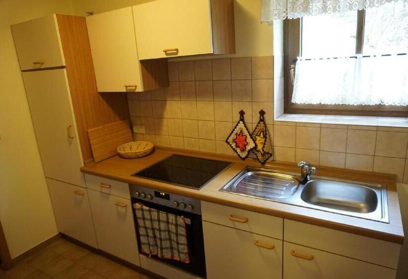 Апартаменты 1 Спальня, Waldgasthof Lorchenmühle Ug