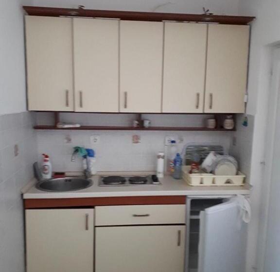 استودیوی استاندارد, Vila Stojana
