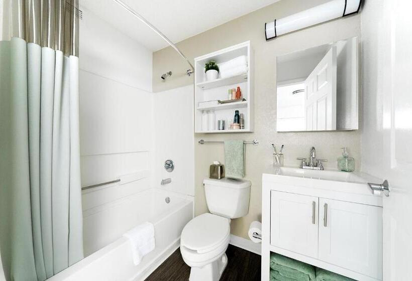 수피리어 스튜디오, Intown Suites Extended Stay Clearwater Fl