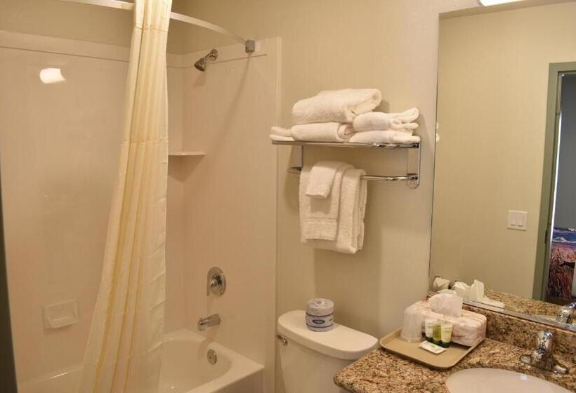 Номер Стандарт, Bumbleberry Inn