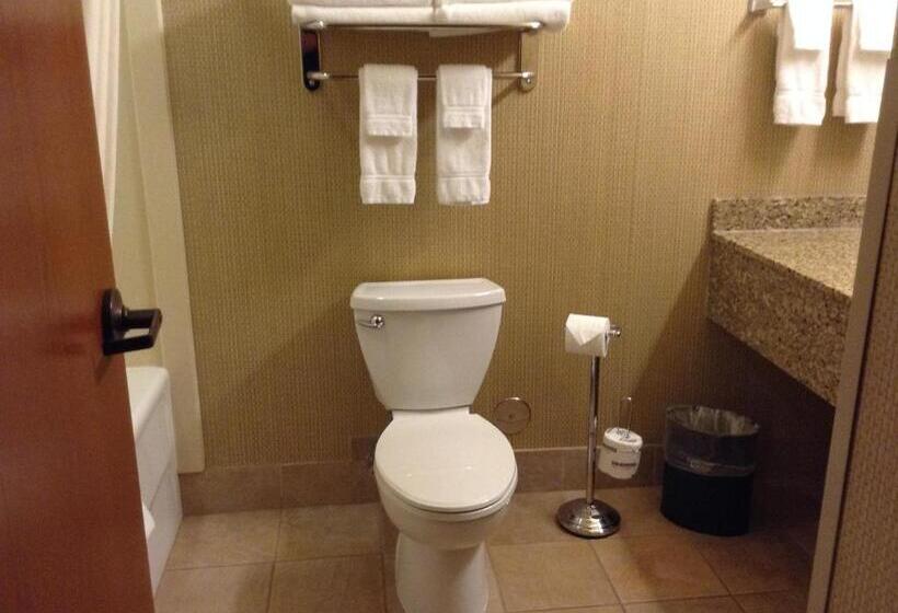 Стандартный Номер Кровать Кинг, Canal Park Lodge