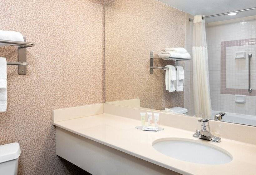 Номер Стандарт 2 Двуспальные Кровати, Capitol Plaza Hotel Jefferson City