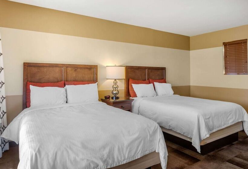 Люкс, Carlton Oaks Lodge, Ascend Hotel Collection
