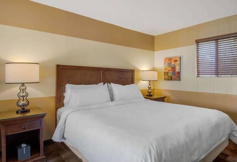 Люкс, Carlton Oaks Lodge, Ascend Hotel Collection