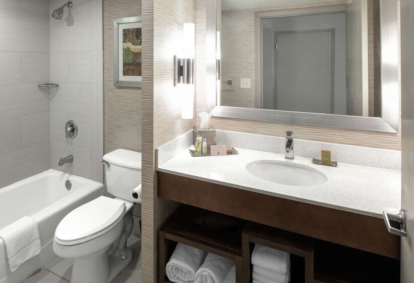 스탠다드 스튜디오 더블 침대, Doubletree By Hilton Hotel Jacksonville Airport
