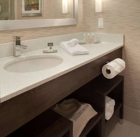 Suíte Deluxe Cama King, Doubletree By Hilton Hotel Jacksonville Airport