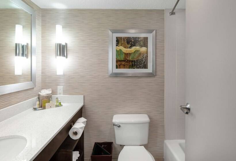 Suíte Deluxe Cama King, Doubletree By Hilton Hotel Jacksonville Airport
