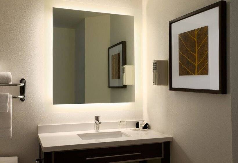 Люкс, Mainstay Suites Salt Lake City Fort Union