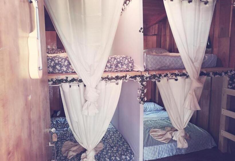 تختخواب در اتاق مشترک, Woodstock Hostel