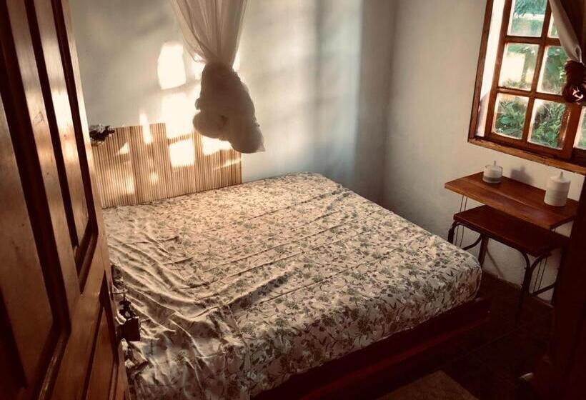 اتاق استاندارد, Woodstock Hostel