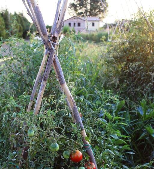 آپارتمان 1 خوابه, Agriturismo Terralieta