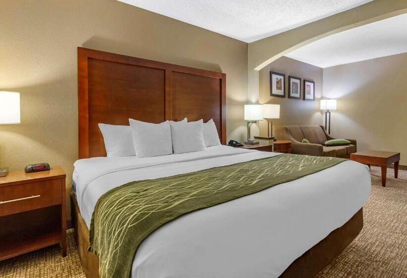 带大床的套房, Clarion Pointe Apex Holly Springs