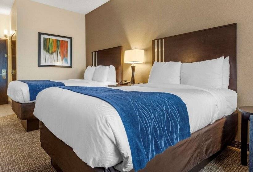 带2个双人床的标准工作室, Comfort Inn & Suites Butler
