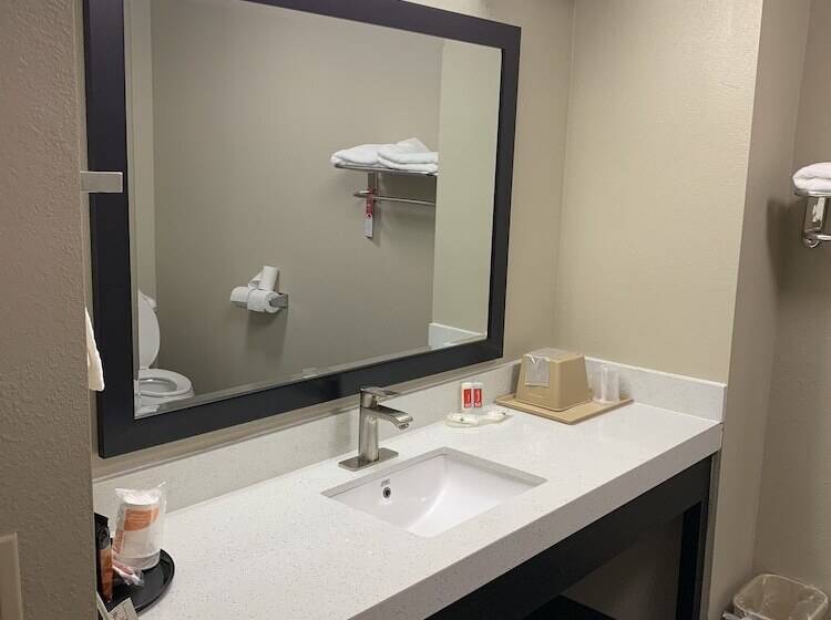 חדר סטנדרט שתי מיטות זוגיות, Quality Inn & Suites Canton, Ga