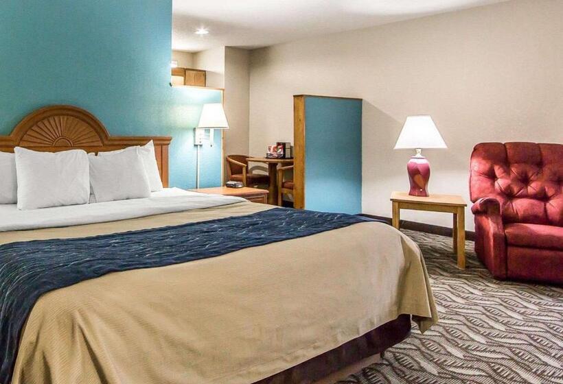Стандартный Номер Кровать Кинг, Quality Inn & Suites