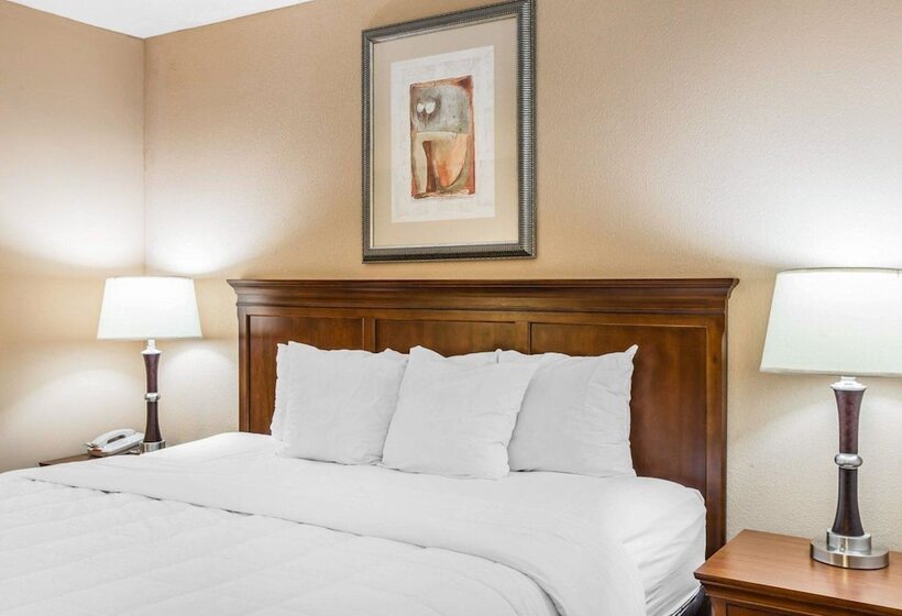 스탠다드 룸, Quality Inn & Suites