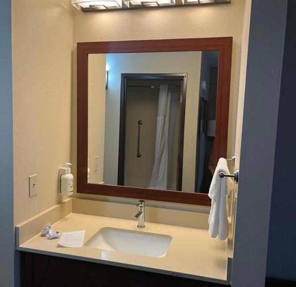 سوئیت با تخت بزرگ, Wingate By Wyndham Pittsburgh West Mifflin