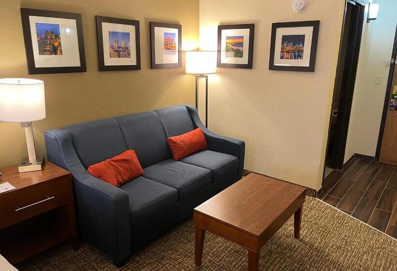 سوئیت با تخت بزرگ, Wingate By Wyndham Pittsburgh West Mifflin