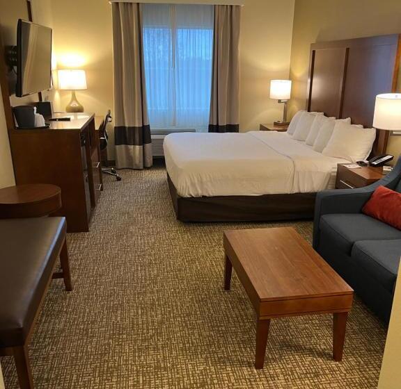 سوئیت با تخت بزرگ, Wingate By Wyndham Pittsburgh West Mifflin