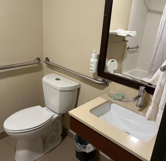 اتاق استاندارد با تخت دو نفره بزرگ برای معلولان, Wingate By Wyndham Pittsburgh West Mifflin