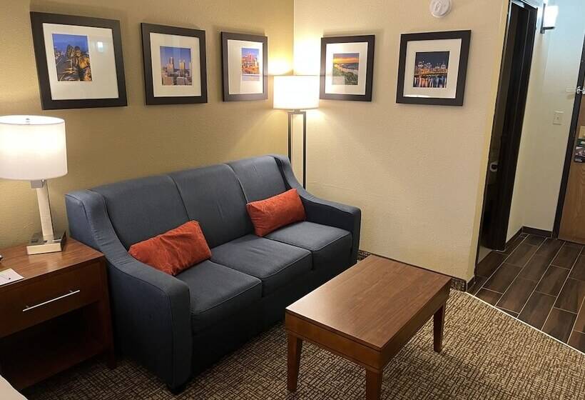 سوییت, Wingate By Wyndham Pittsburgh West Mifflin