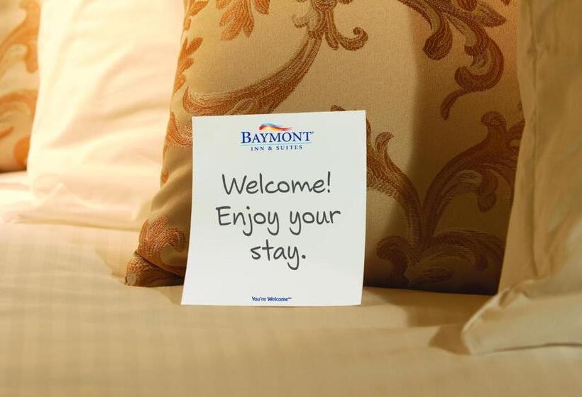 장애인용 디럭스룸, Baymont By Wyndham Kennesaw