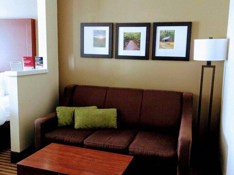 스위트, Comfort Suites Johnson City Near University