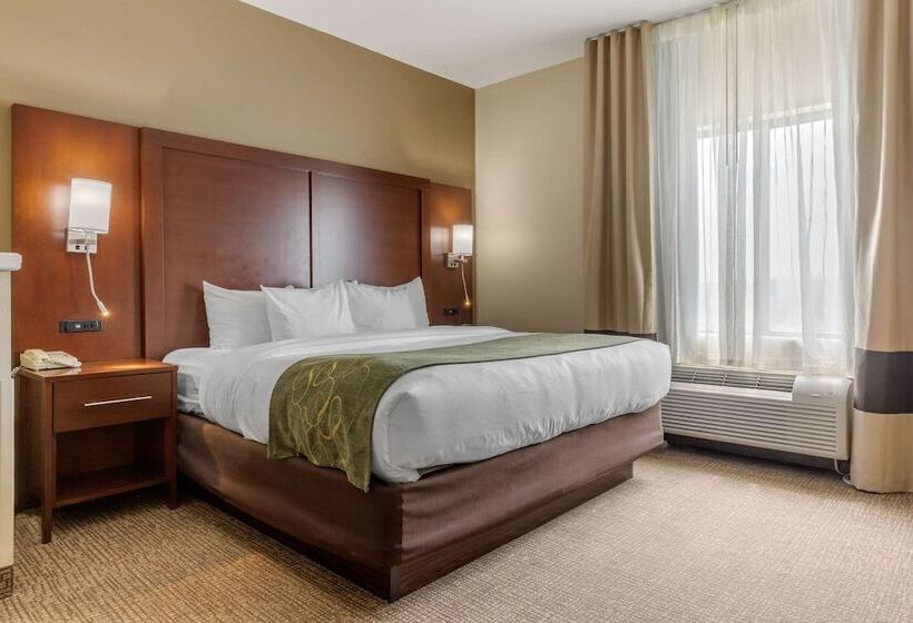 스위트, Comfort Suites Johnson City Near University