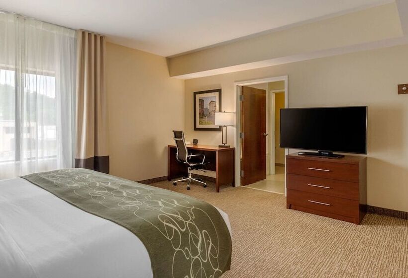 스위트, Comfort Suites Johnson City Near University
