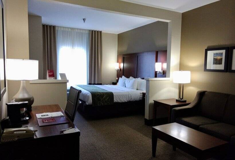 스위트, Comfort Suites Johnson City Near University