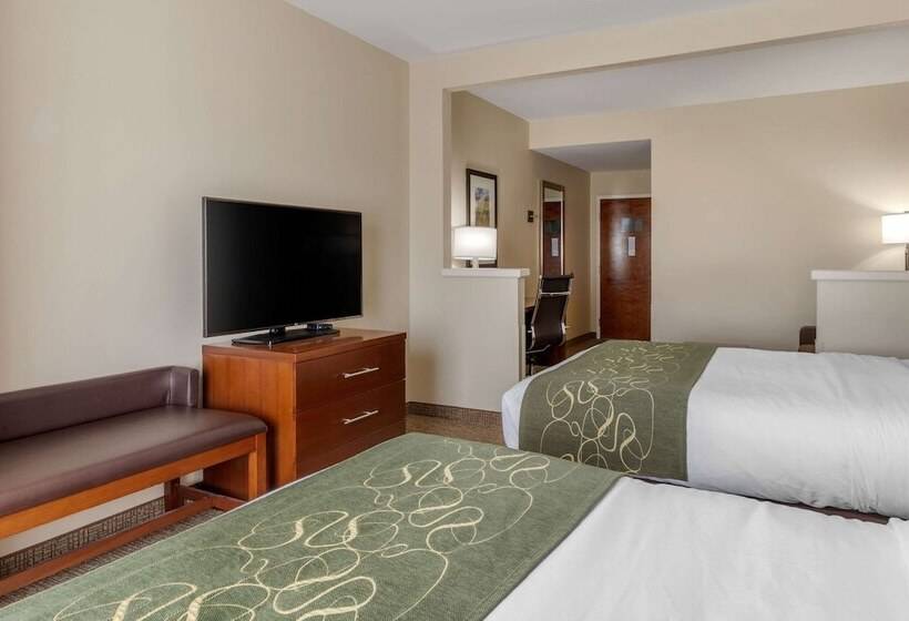 스위트, Comfort Suites Johnson City Near University