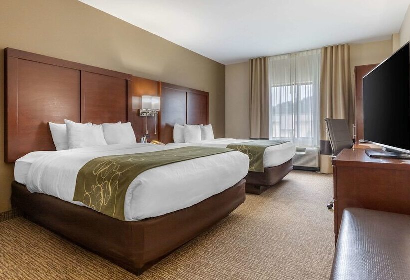 스위트, Comfort Suites Johnson City Near University