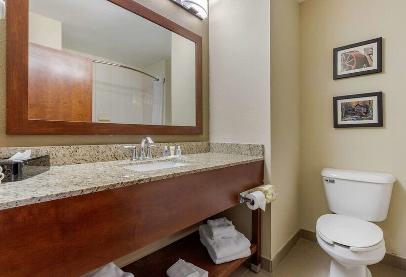 스위트, Comfort Suites Johnson City Near University