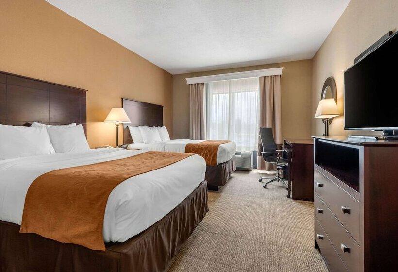 スイート, Comfort Suites Near Route 66