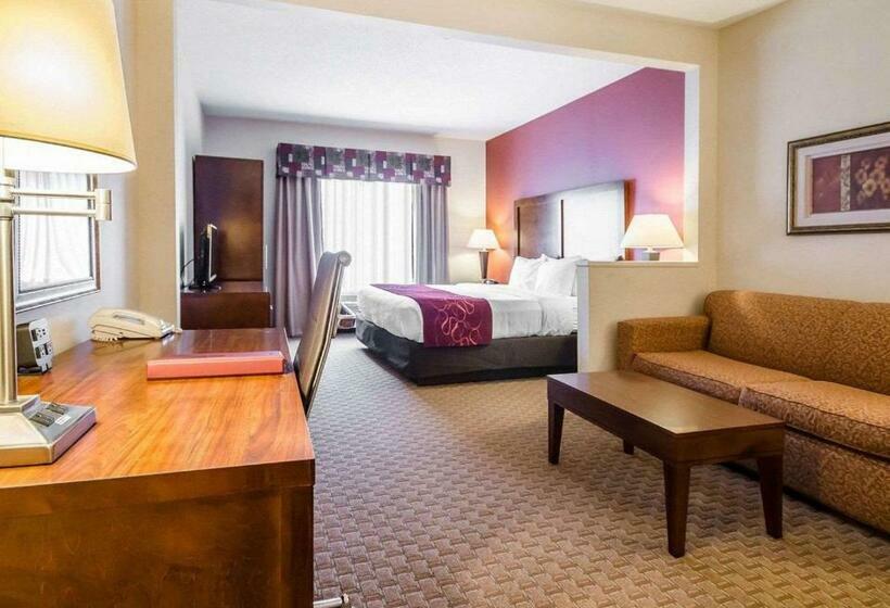 스위트 킹사이즈 침대, Comfort Suites Prestonsburg West