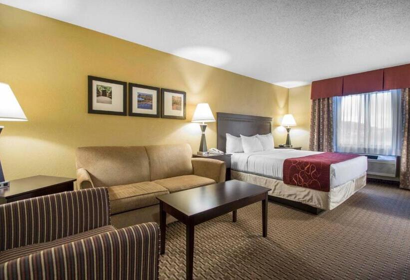 Люкс Адаптированный для Инвалидов, Comfort Suites Wisconsin Dells Area