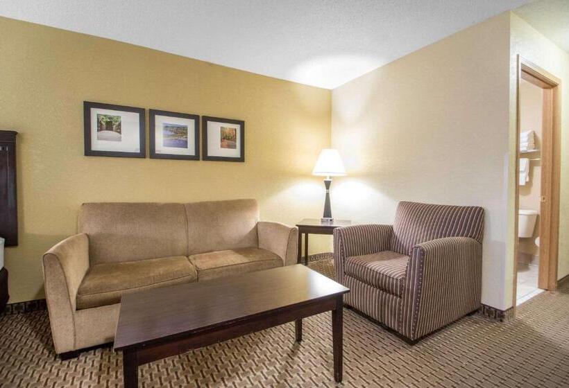Люкс, Comfort Suites Wisconsin Dells Area