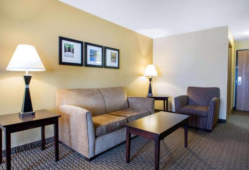 Люкс, Comfort Suites Wisconsin Dells Area