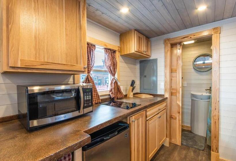 Дом 1 Спальня, Tiny House Leadville