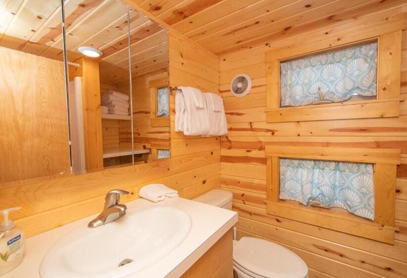 Номер Стандарт, Tiny House Leadville