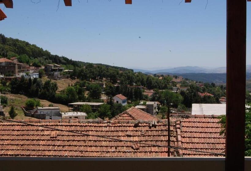Студия Стандарт, Résidence Panorama
