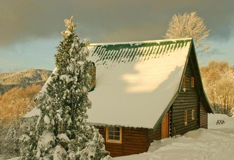 کلبه ییلاقی, Guest House Montana