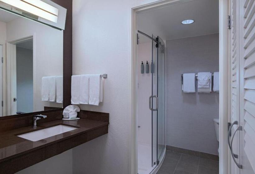 اتاق استاندارد با تخت بزرگ, Courtyard By Marriott Austin The Domain Area